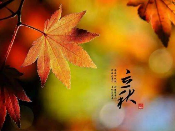 秋来了，莫慌！智慧主机依旧值得推荐的